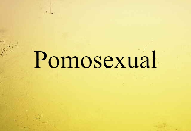 Pomosexual (noun) Definition, Meaning & Examples