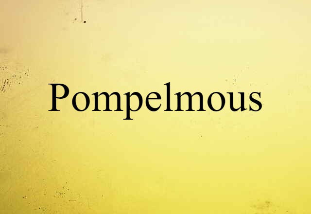 Pompelmous (noun) Definition, Meaning & Examples