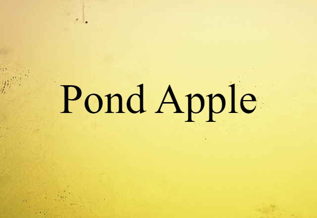 pond-apple