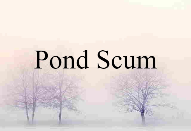 Pond Scum (noun) Definition, Meaning & Examples