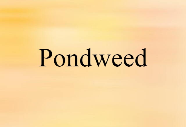 pondweed