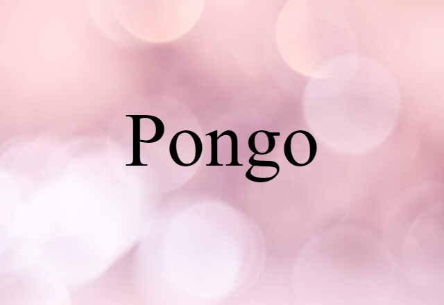 Pongo (noun) Definition, Meaning & Examples