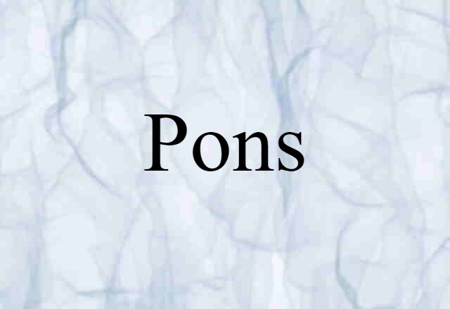 Pons (noun) Definition, Meaning & Examples