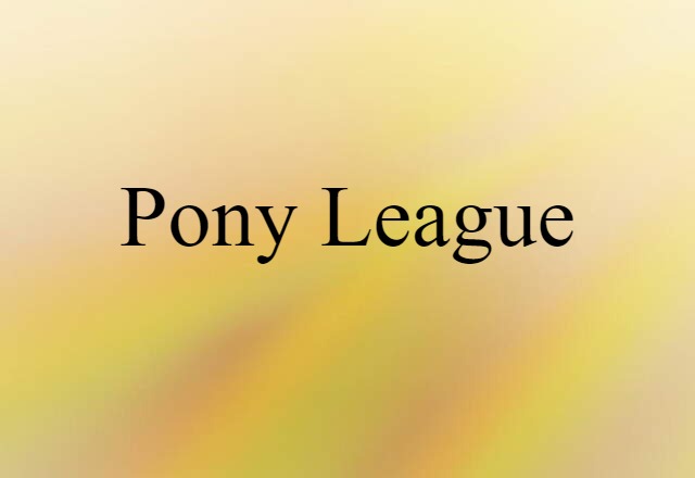 Pony League