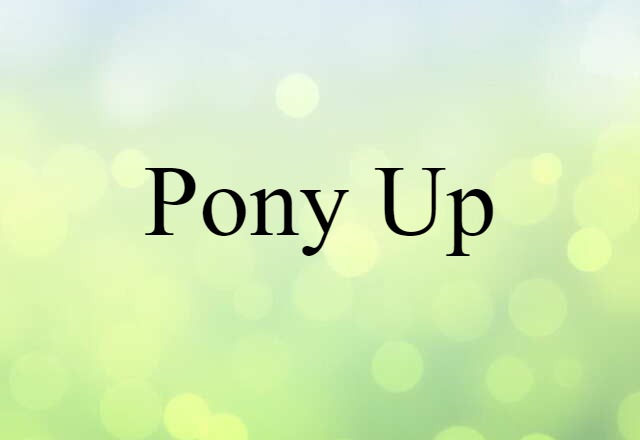 pony up