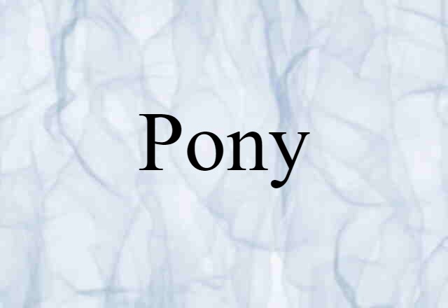 Pony (noun) Definition, Meaning & Examples