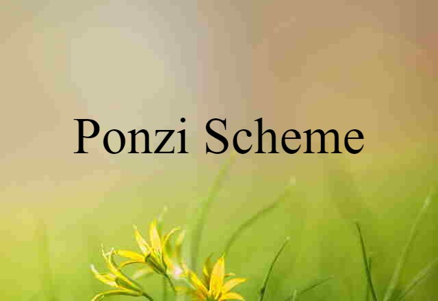 Ponzi Scheme (noun) Definition, Meaning & Examples