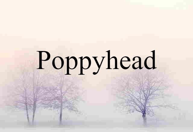 Poppyhead (noun) Definition, Meaning & Examples