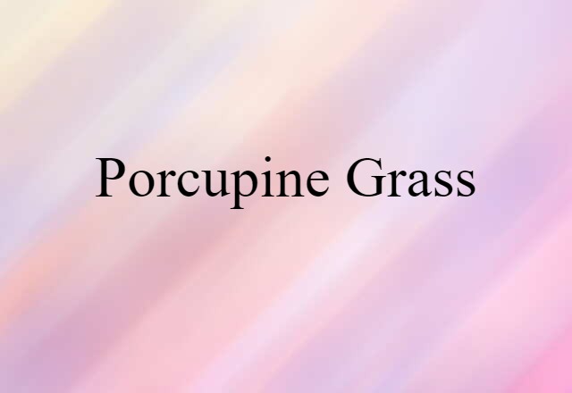 Porcupine Grass (noun) Definition, Meaning & Examples