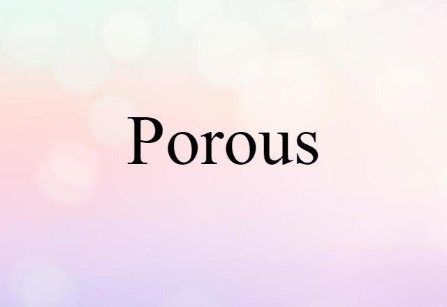 Porous (noun) Definition, Meaning & Examples