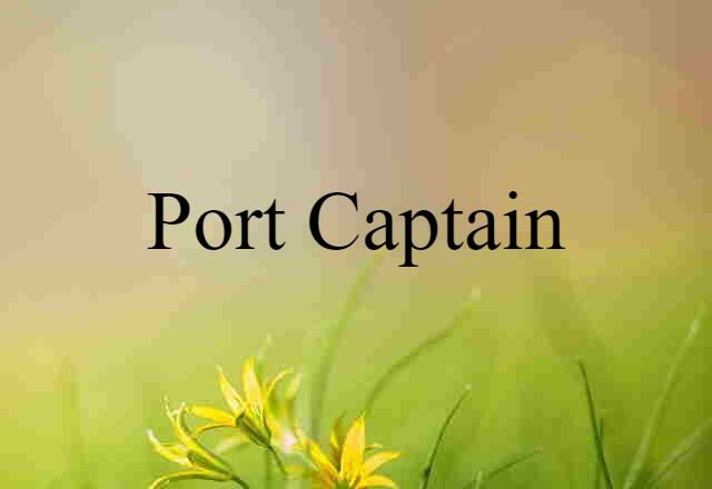 Port Captain (noun) Definition, Meaning & Examples