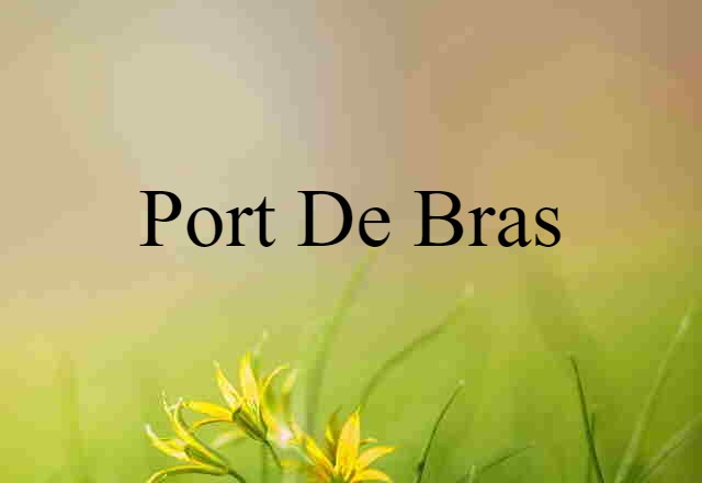 port de bras