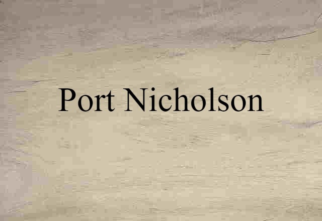 Port Nicholson (noun) Definition, Meaning & Examples