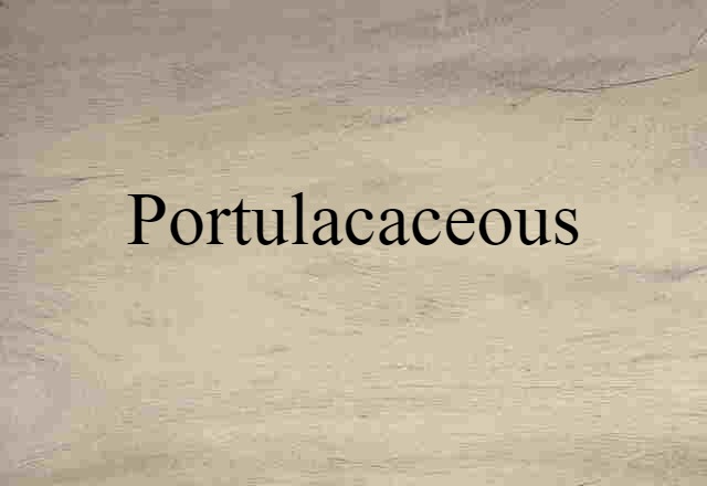 Portulacaceous (noun) Definition, Meaning & Examples