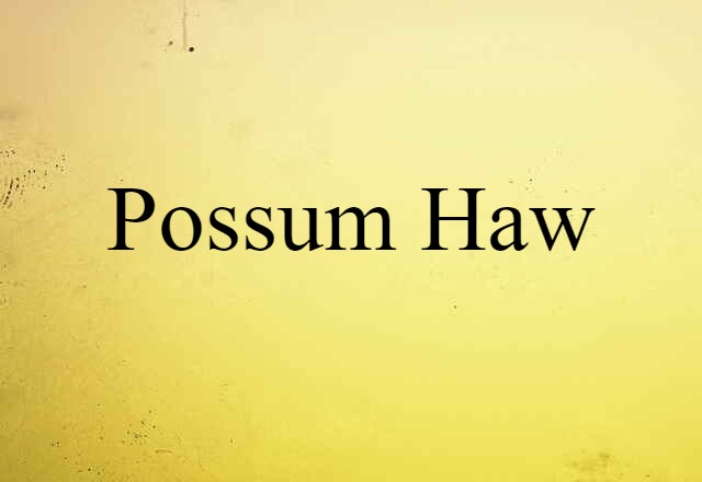 Possum Haw (noun) Definition, Meaning & Examples