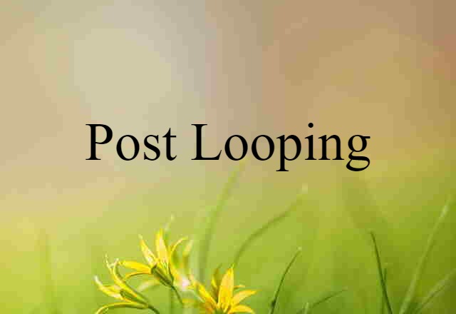 Post-looping (noun) Definition, Meaning & Examples