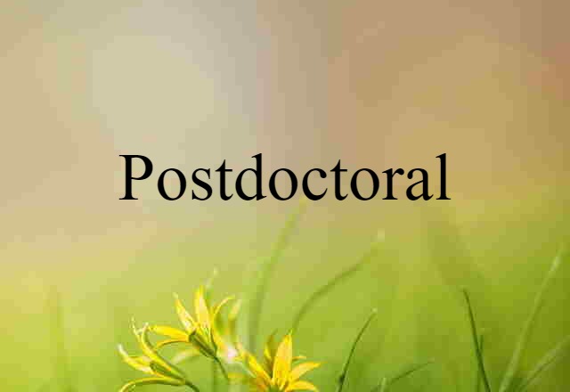 Postdoctoral (noun) Definition, Meaning & Examples