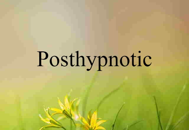 Posthypnotic (noun) Definition, Meaning & Examples