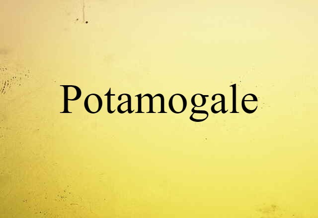 Potamogale (noun) Definition, Meaning & Examples