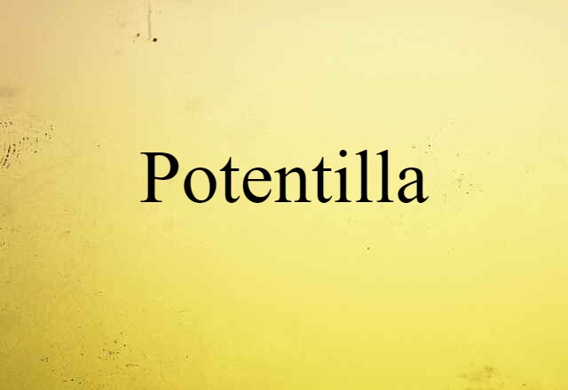 Potentilla (noun) Definition, Meaning & Examples