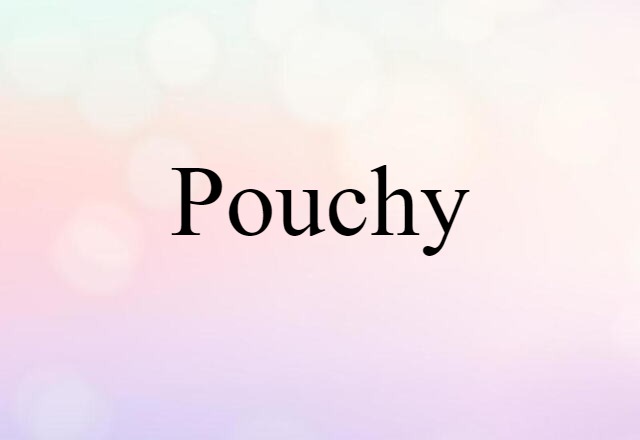 Pouchy (noun) Definition, Meaning & Examples