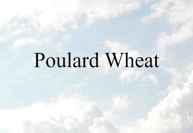 Poulard Wheat (noun) Definition, Meaning & Examples