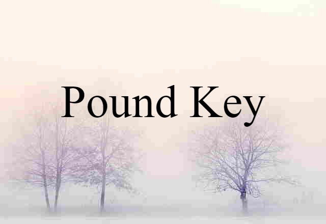 Pound Key (noun) Definition, Meaning & Examples