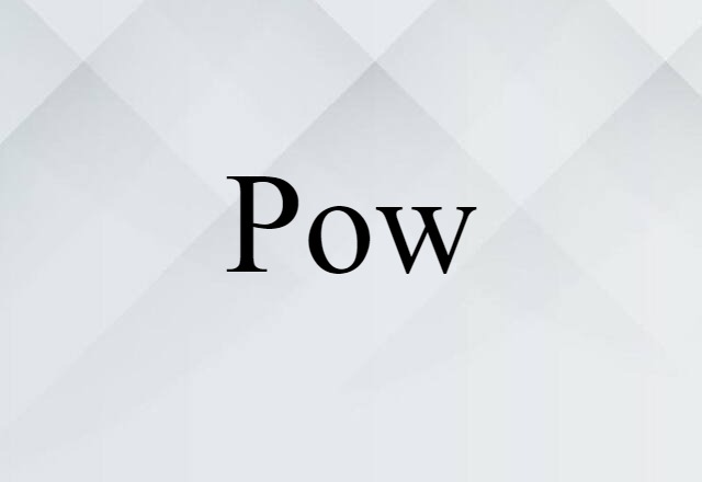 Pow (noun) Definition, Meaning & Examples