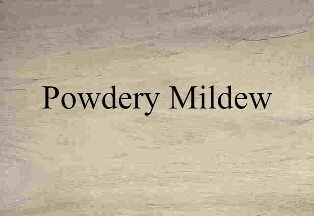 Powdery Mildew (noun) Definition, Meaning & Examples