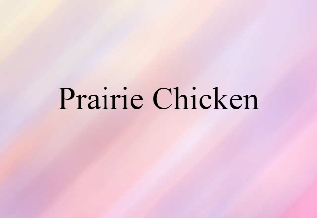 prairie chicken