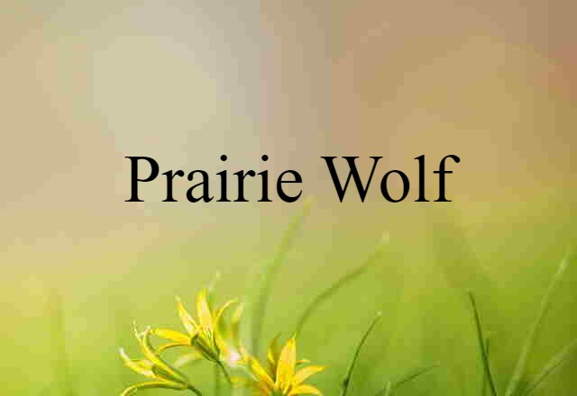 Prairie Wolf (noun) Definition, Meaning & Examples