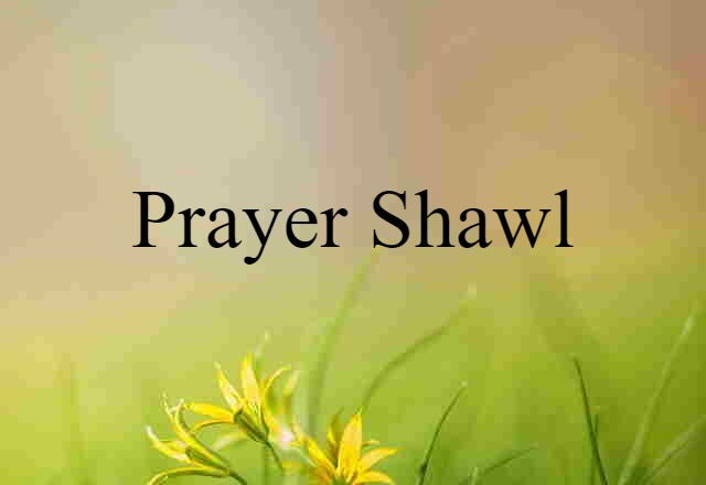 Prayer Shawl (noun) Definition, Meaning & Examples