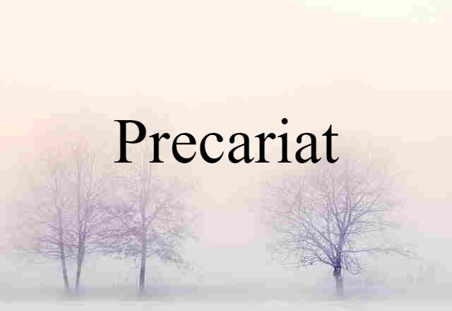 Precariat (noun) Definition, Meaning & Examples