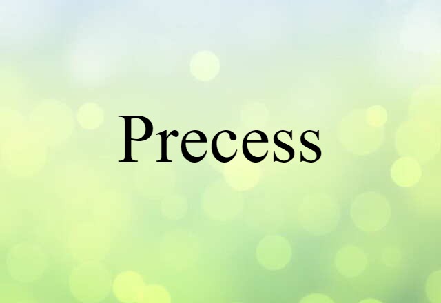 Precess (noun) Definition, Meaning & Examples