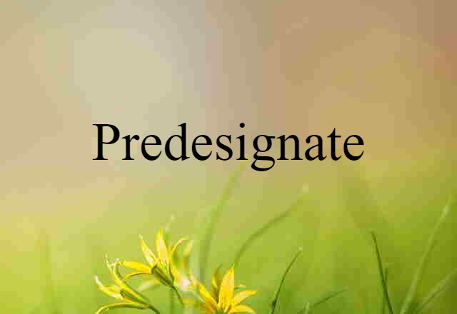 Predesignate (noun) Definition, Meaning & Examples