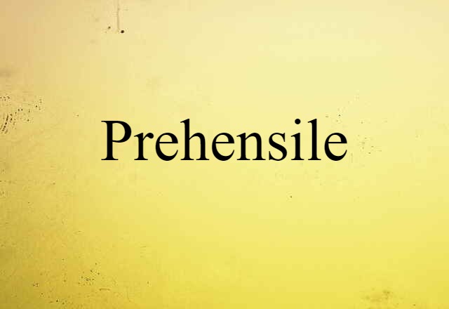 Prehensile (noun) Definition, Meaning & Examples