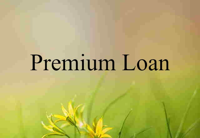 Premium Loan (noun) Definition, Meaning & Examples