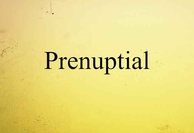 Prenuptial (noun) Definition, Meaning & Examples