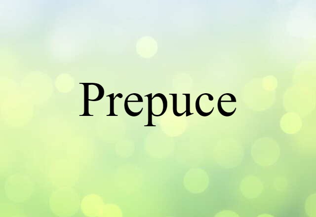 Prepuce (noun) Definition, Meaning & Examples