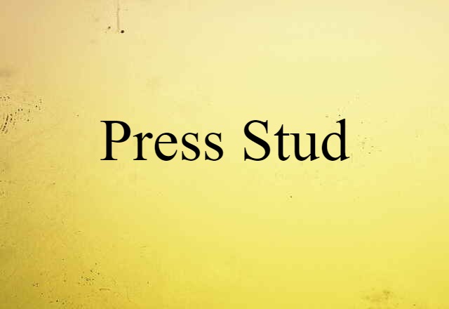 Press Stud (noun) Definition, Meaning & Examples