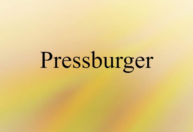 Pressburger (noun) Definition, Meaning & Examples