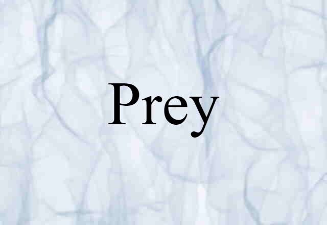 prey