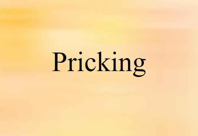 Pricking (noun) Definition, Meaning & Examples