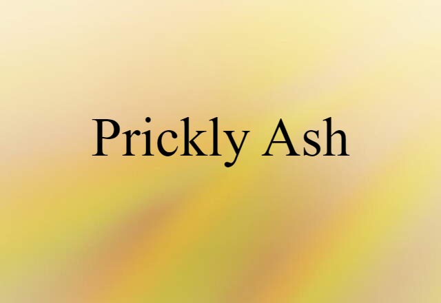 prickly ash