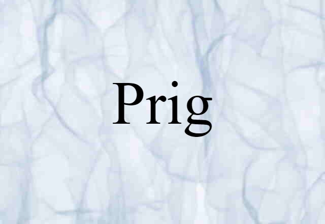 prig