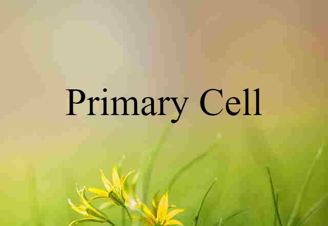 primary cell