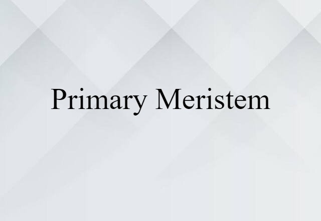 Primary Meristem (noun) Definition, Meaning & Examples