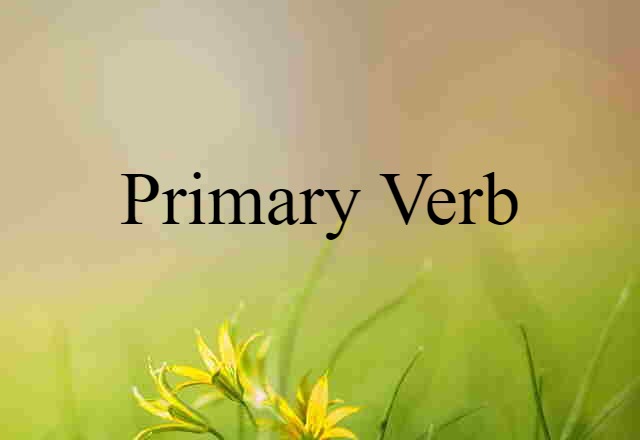 primary verb