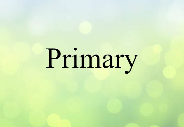 Primary (noun) Definition, Meaning & Examples