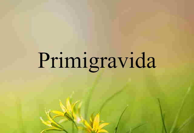 primigravida